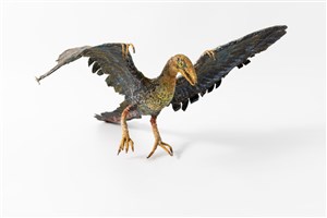 Image description is not available for 1983.54.1